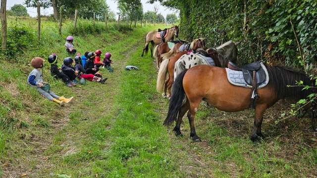 Stages équitation, Balades et Cours