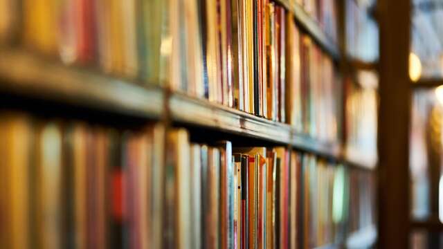 Les Mycéliades - Atelier BD