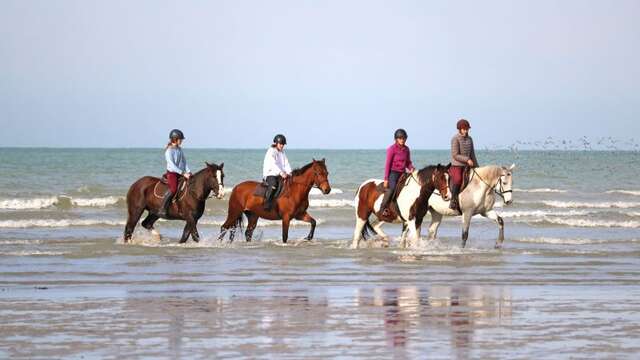 Randonnée à cheval 2 jours au Havre de la Vanlée