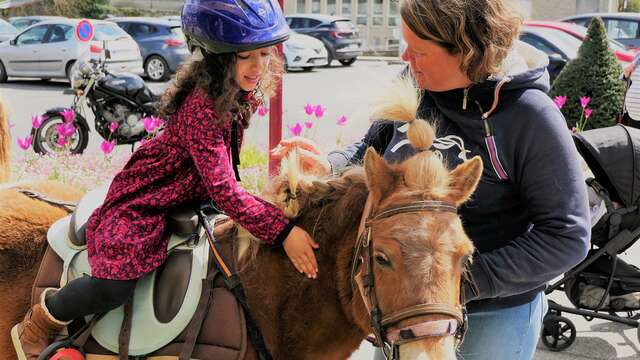 Balades à poney dans la cité sourdine