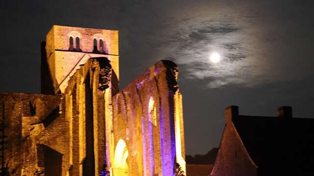 Nuit des musées / Pierres en lumières