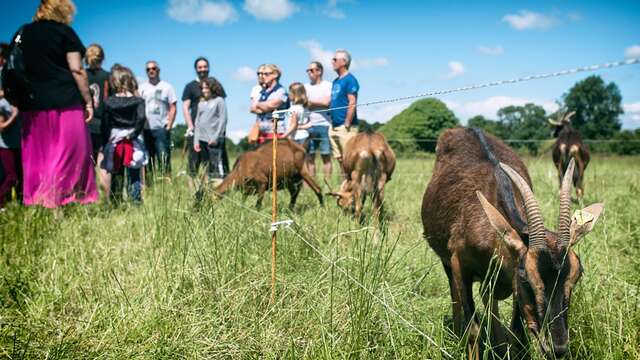 Ferme de la Chèvre Rit