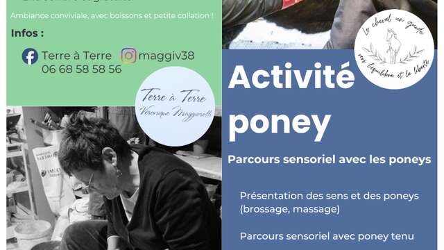 Vide atelier et activité avec les poneys