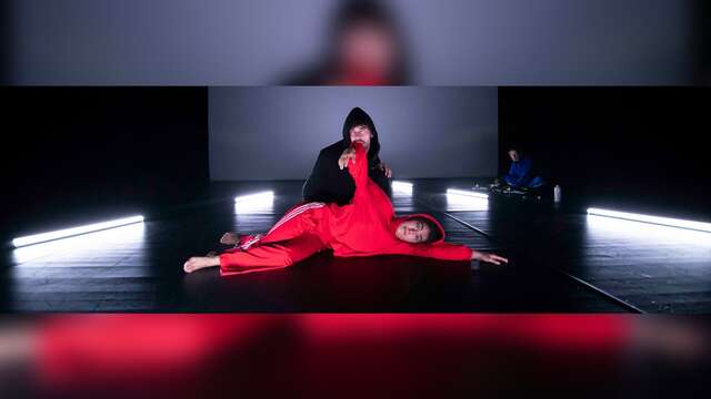 Le petit chaperon rouge