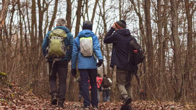 Balade familiale au profit du Téléthon