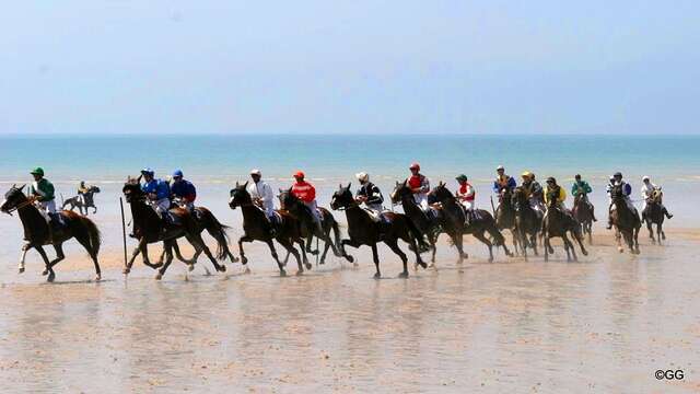 Courses hippiques sur l'hippodrome marin