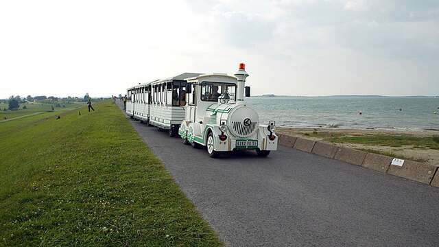 Train aux oiseaux