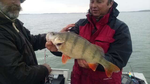 Thierry Lacombe - Moniteur guide de pêche