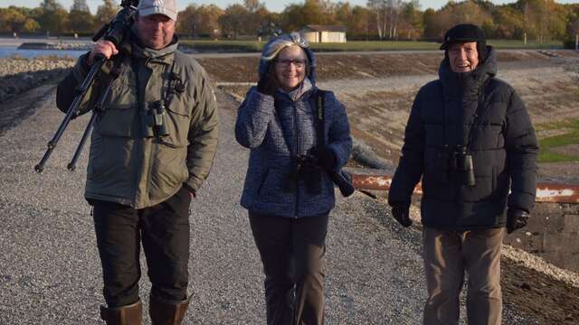 Thierry Lacombe - Guide nature et ornithologue