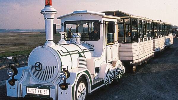 Train aux oiseaux