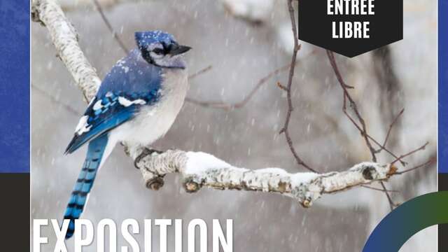 Exposition : Regards & Lectures – La nature s’invite à Noël