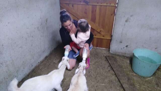 Chèvrerie du Pont Urgin