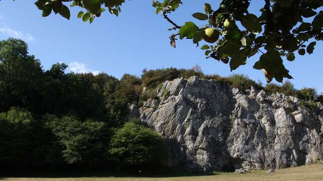 ESCALADE - SITE DES GROTTES