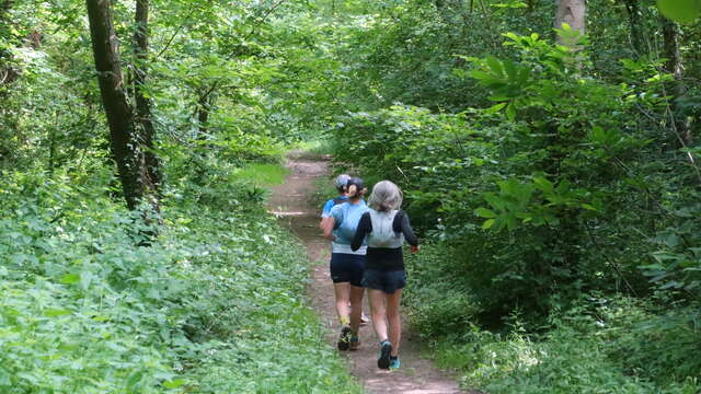 Le Plein d'Aventure ! - Trail