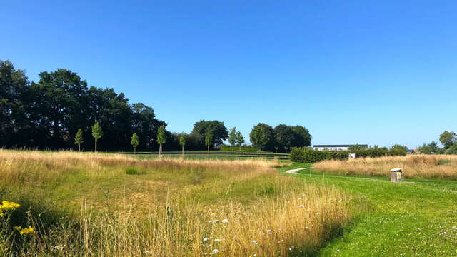 Les Fours à Chaux - Trail