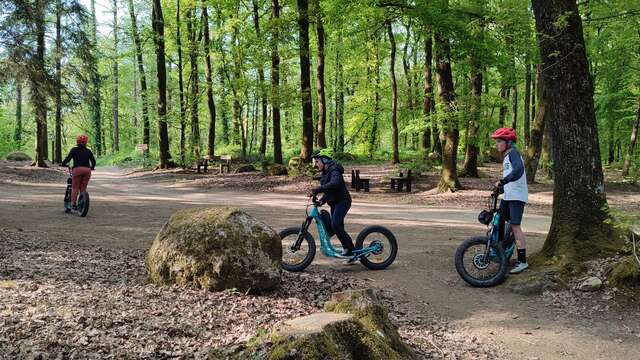 LOCATION DE TROTTINETTES ÉLECTRIQUES TOUT TERRAIN