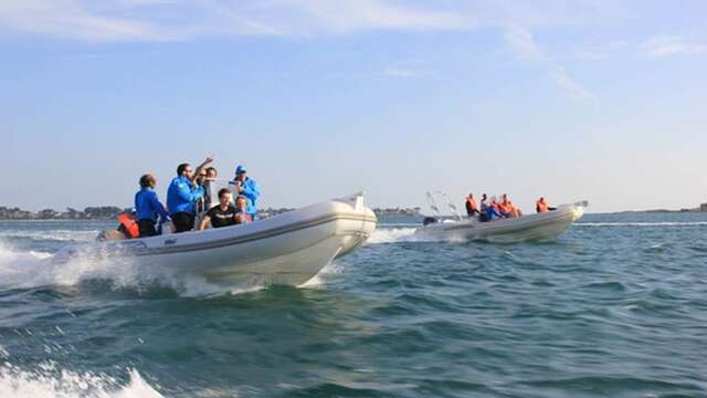 Raid nautique en semi-rigides dans le Golfe du Morbihan avec Skippage