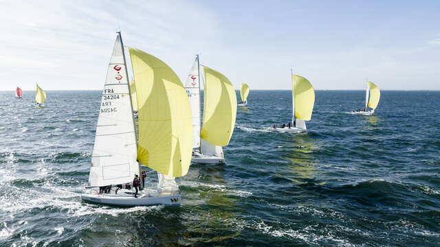 Challenge voile avec Yellow Impact Sailing