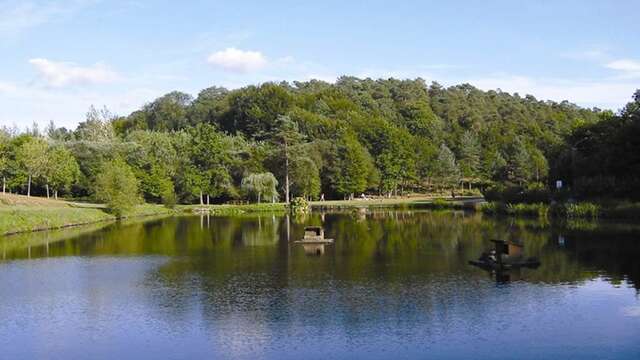 Site du Petit bois à Camors