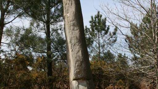 Menhir Quenouille de Gargantua la Croix Pin