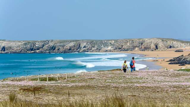 Saint-Pierre Quiberon - Kerhostin, Portivy, Côte sauvage