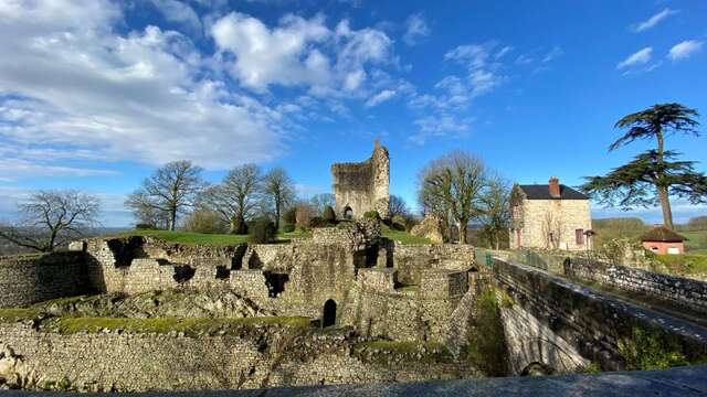 Festival Regards : "Visite nocturne poétique : histoire et voix sous les étoiles"