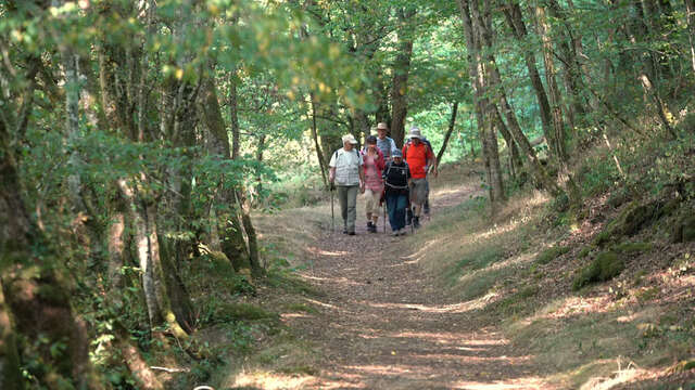 Randonnée pédestre - les rochers de Bord