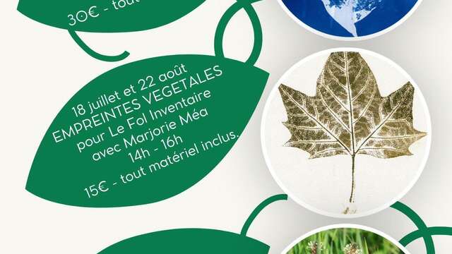 Découverte des plantes sauvages
