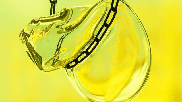 Châteaux en fête - Château de Monbazillac