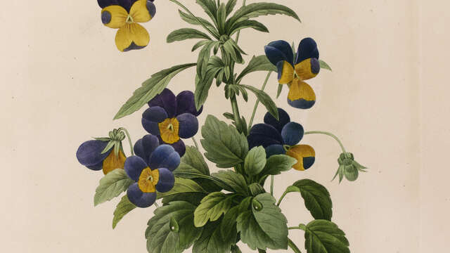 Exposition : Alors nous irons toruver la couleur ailleurs
