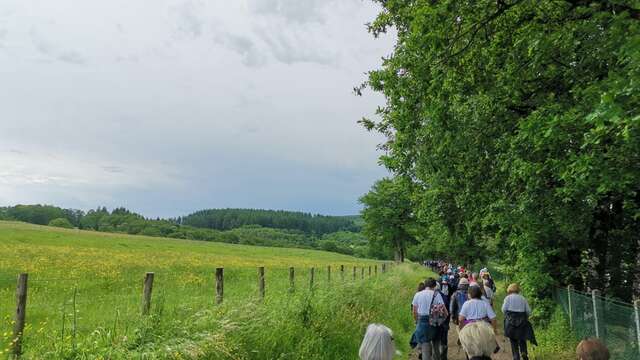 Randonnée pédestre "Bois des Boeufs"