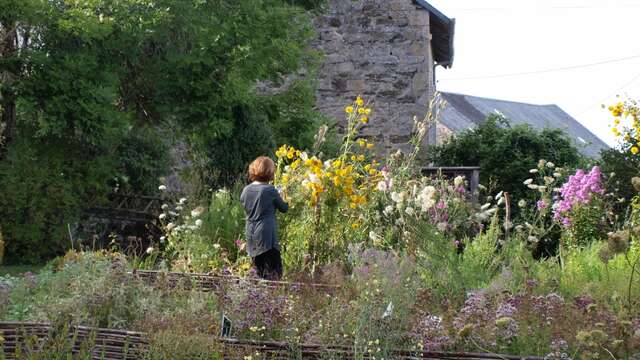 Cité des Insectes : le jardin