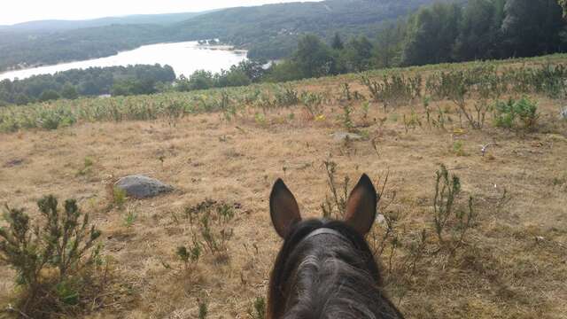 Vassivière à cheval