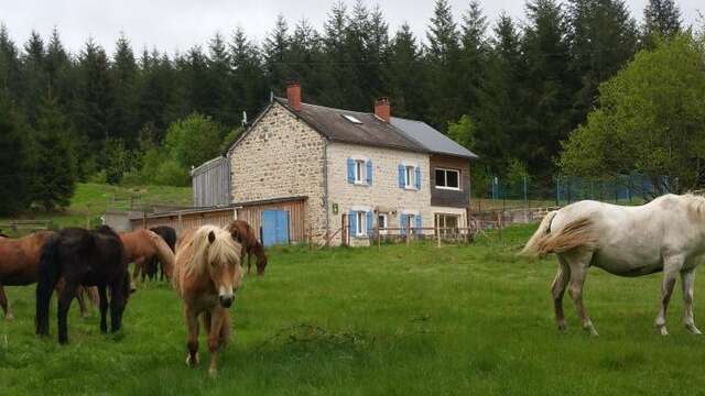 LE PUY DES BRUGES