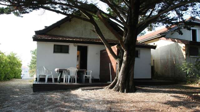 Arnaudin Francis - Villa Martha - Côté Sud