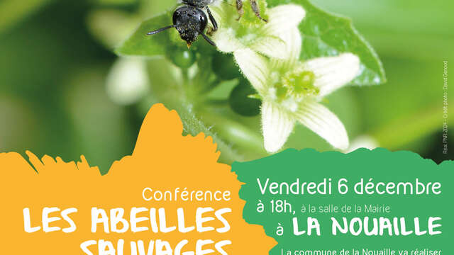 Conférence "Les abeilles sauvages"