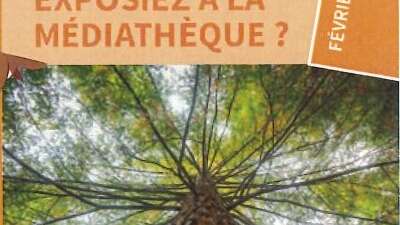 Collecte participative d'oeuvres sur les arbres