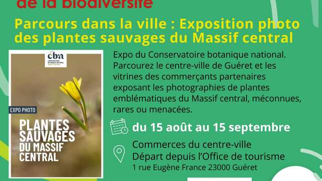 Les plantes sauvages du Massif Central