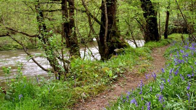 Les Gorges de la Voueize