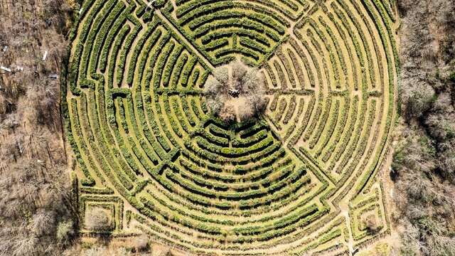 Labyrinthe Géant