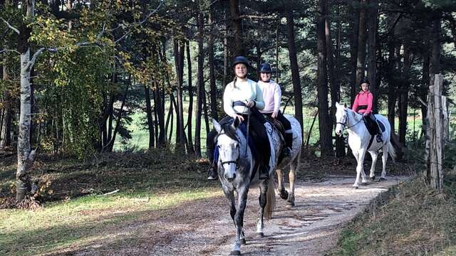 Centre équestre Cheval de Cœur