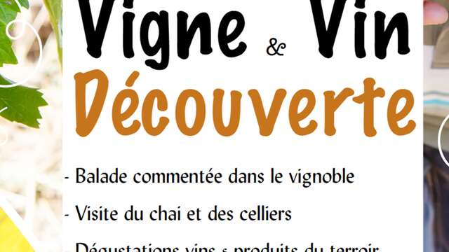 Vigne et vin découverte | Domaine du Siorac