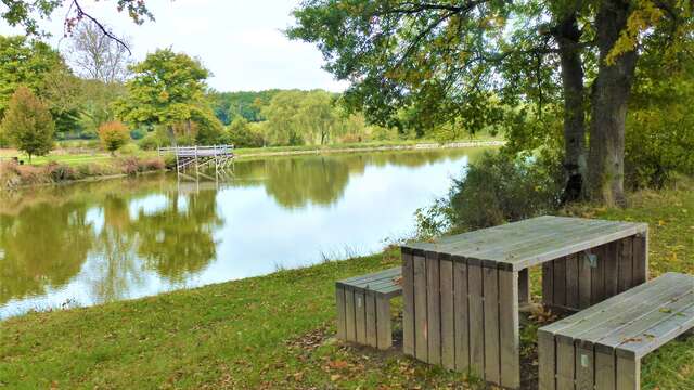 Etang de Coux : Aire de pique-nique