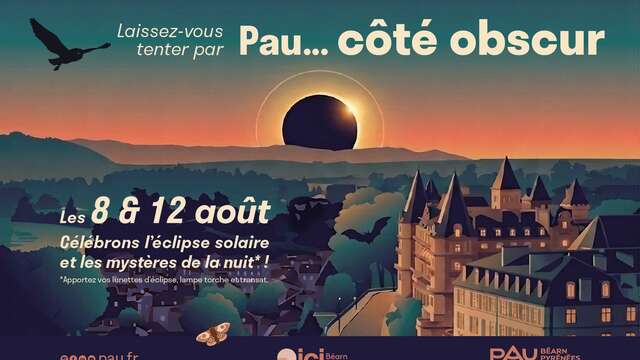 Eclipse solaire: "Laissez-vous tenter par Pau...côté obscur"