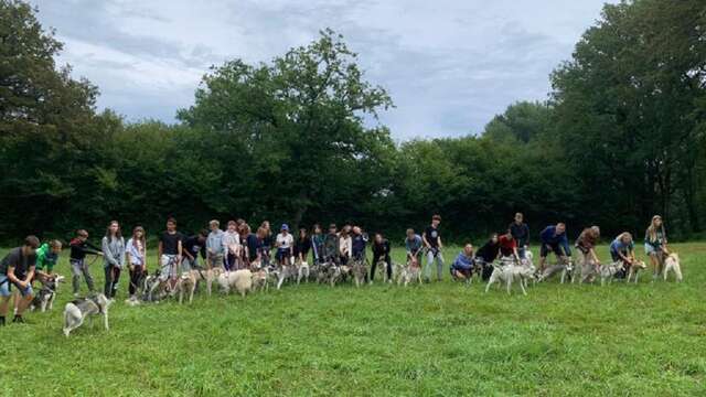 Husk'in Creuse : Cani Rando