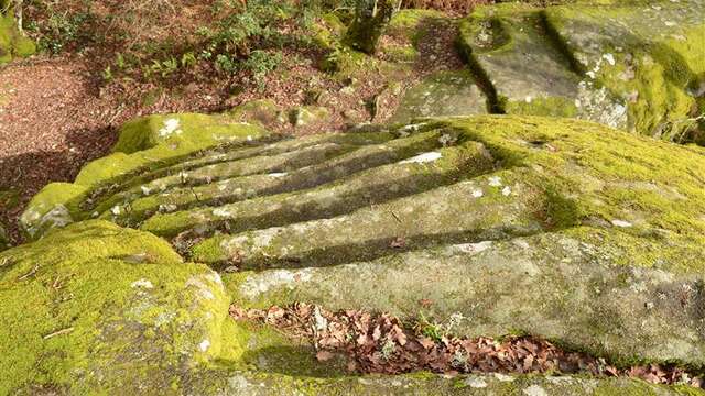 La Pierre aux Neuf Gradins