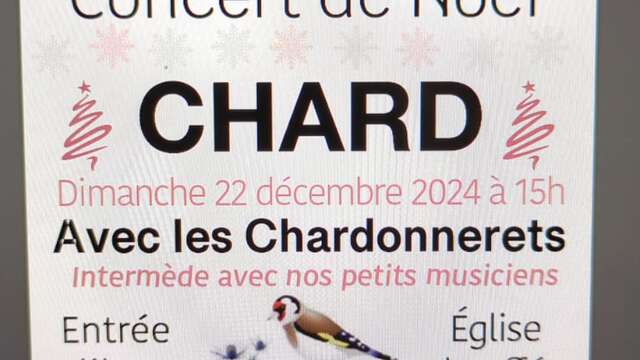 Concert de Noël : Les Chardonnerets