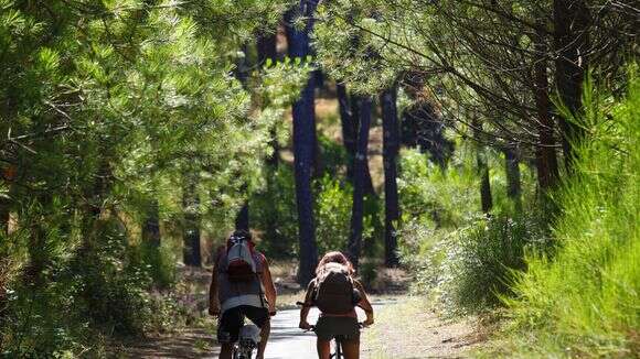 Piste cyclable Pontenx les Forges - Mimizan Plage