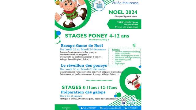 Stages Poneys Noël