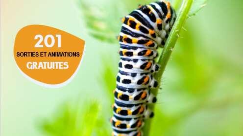 Sortie Nature : Biodiversité en vallée de la Sèvre